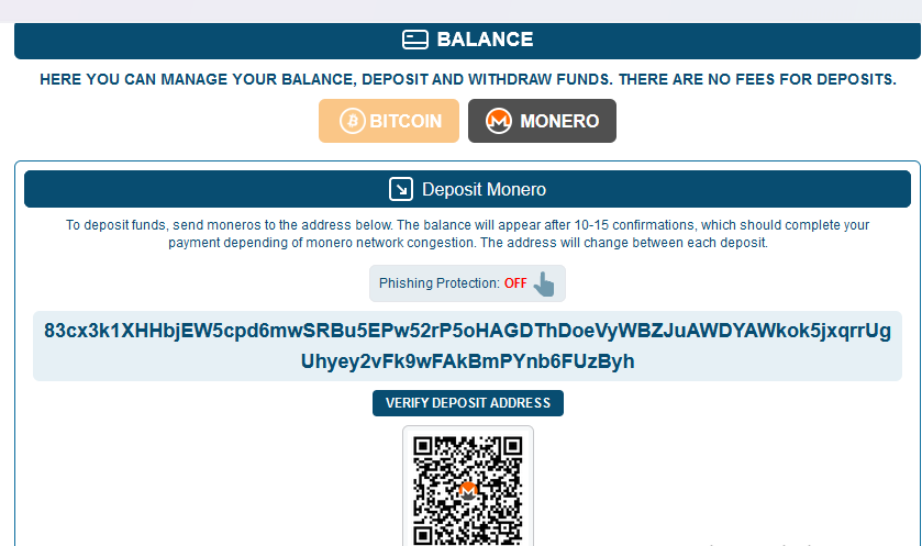 Screenshot of balance top-up page